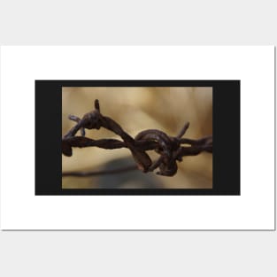 Barbed Wire by Avril Thomas at Magpie Springs Posters and Art